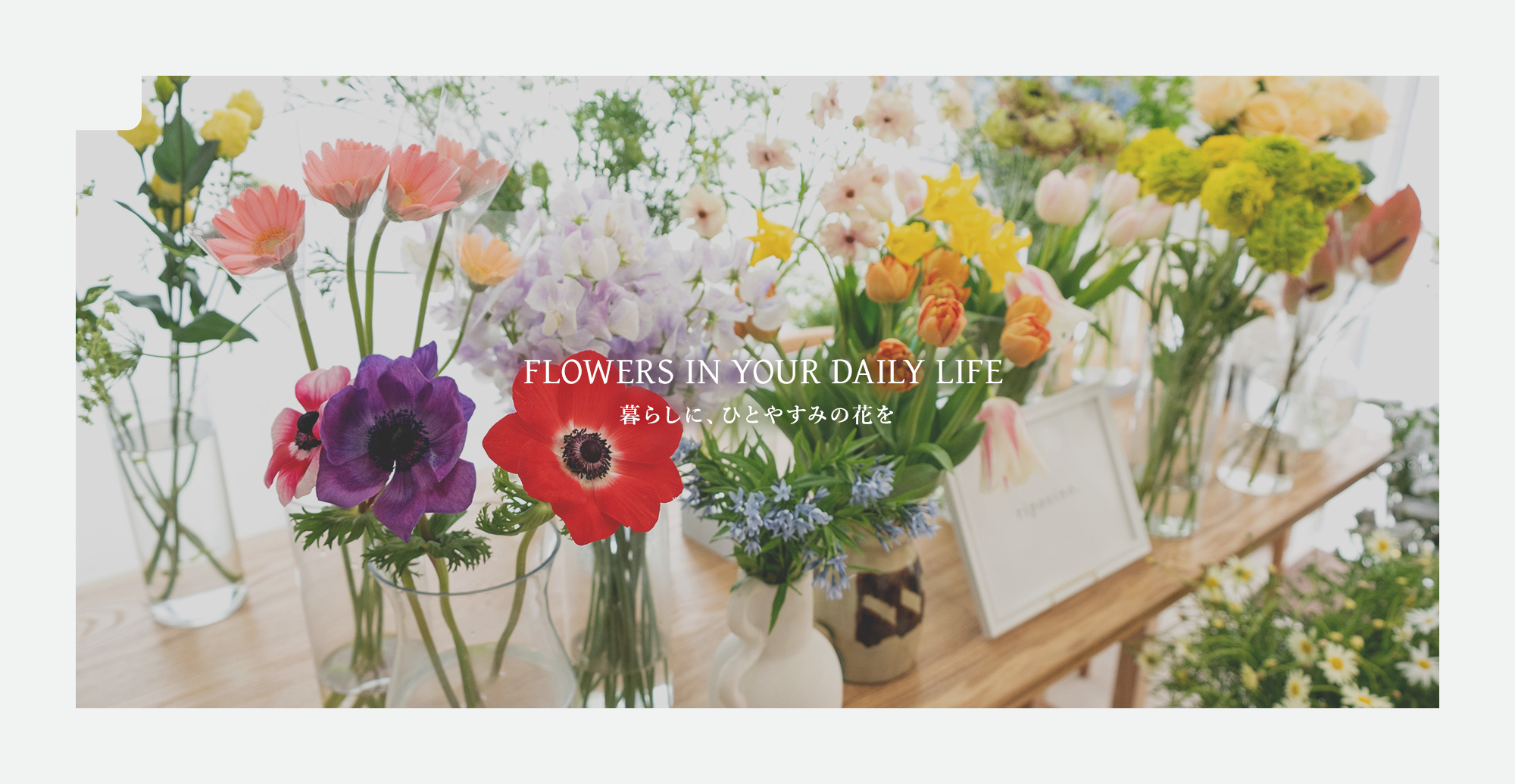 暮らしに、ひとやすみの花を